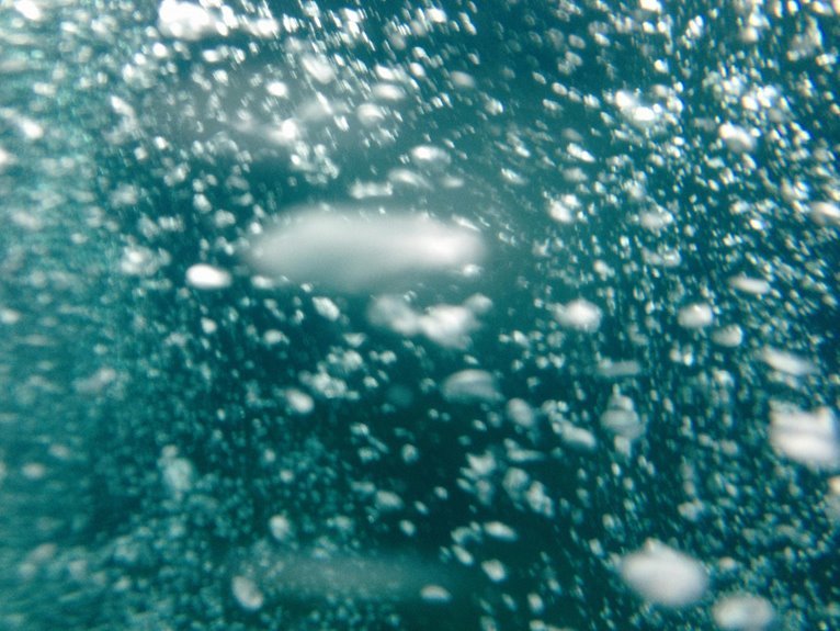 high density call management