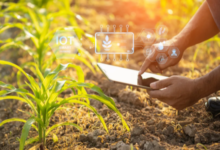 IoT in Agriculture: Smart Farming Solutions