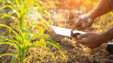 IoT in Agriculture: Smart Farming Solutions