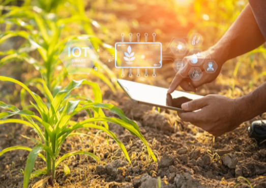 IoT in Agriculture: Smart Farming Solutions
