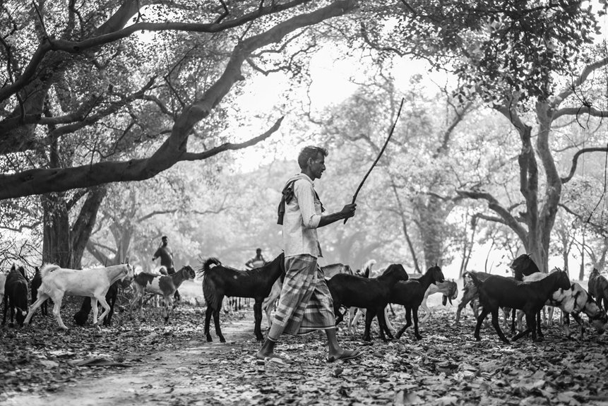 business environment analysis overview